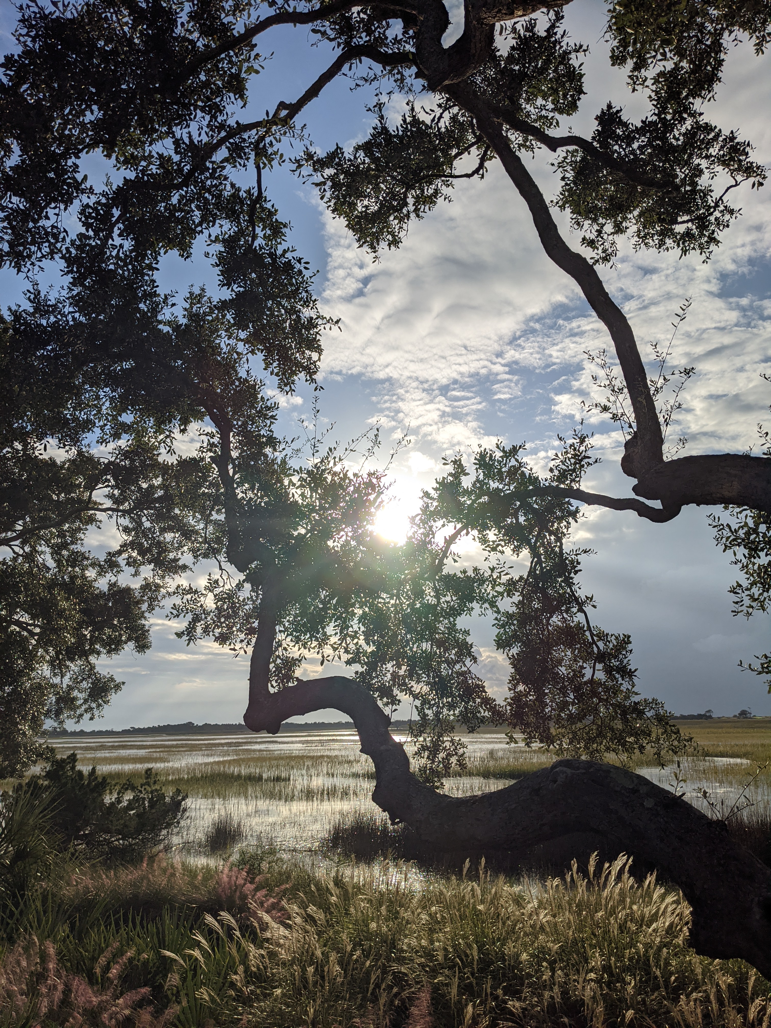 PXL 20201015 123601907