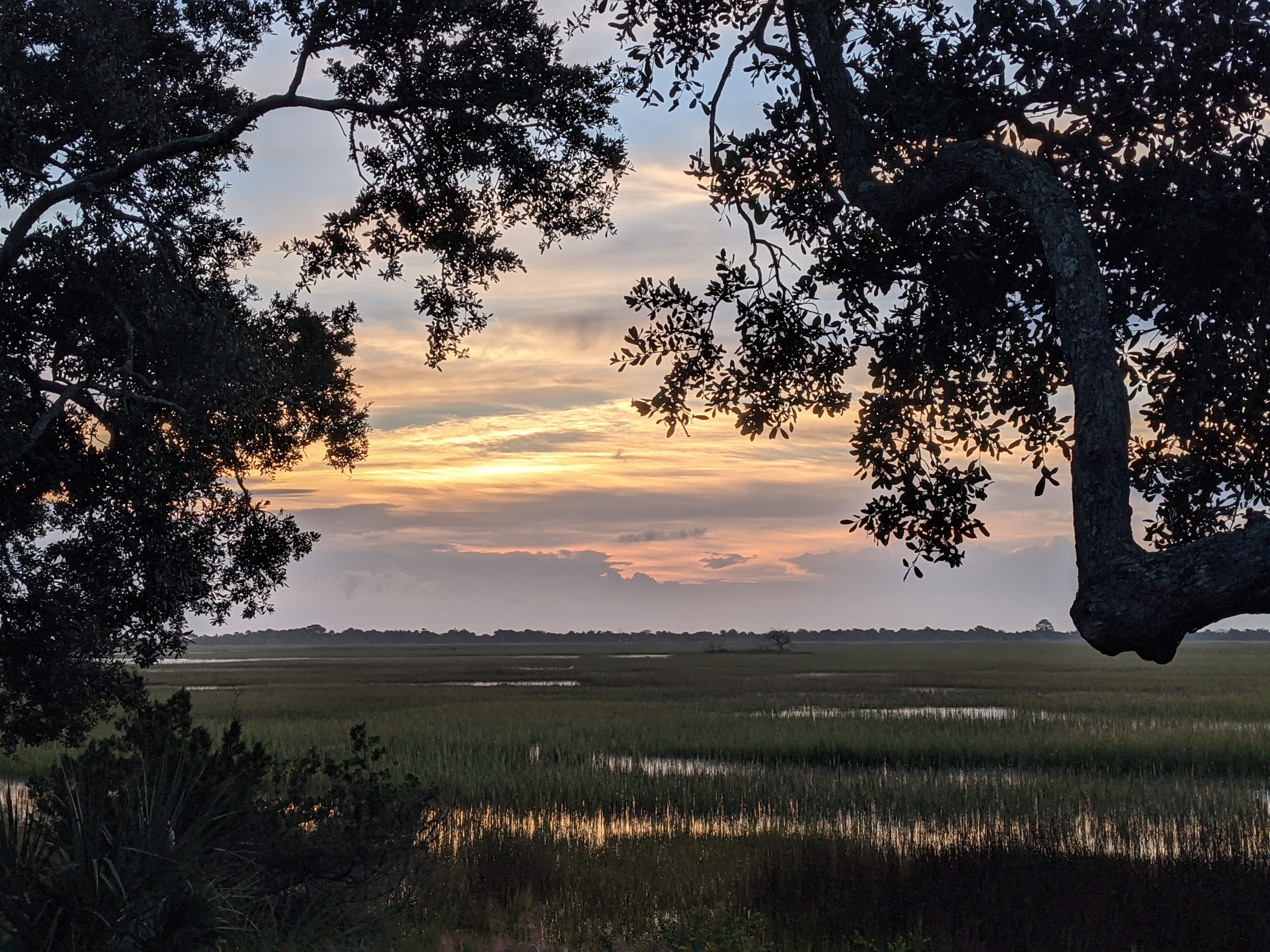 PXL 20201016 113218644