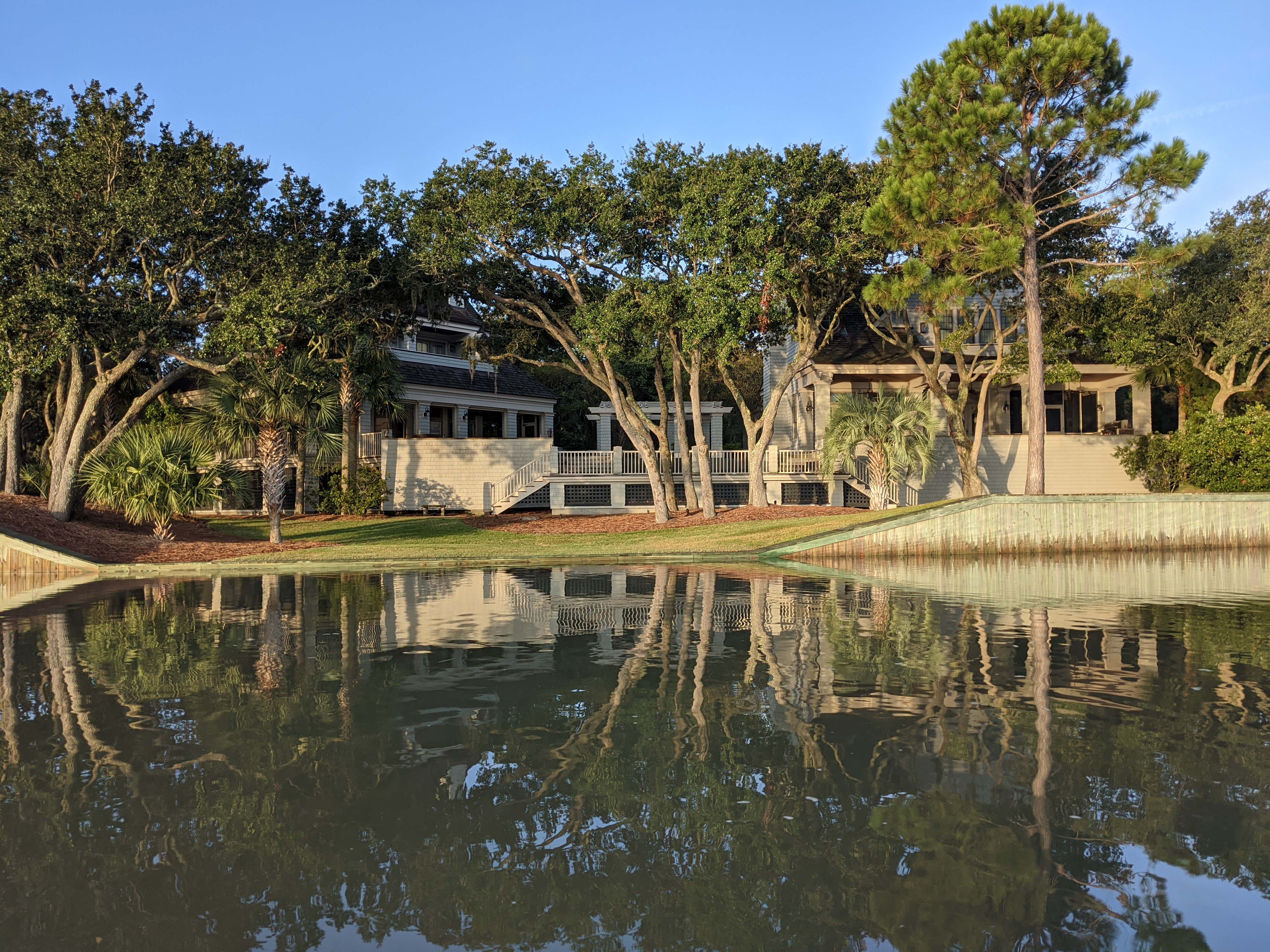 PXL 20201016 121053289