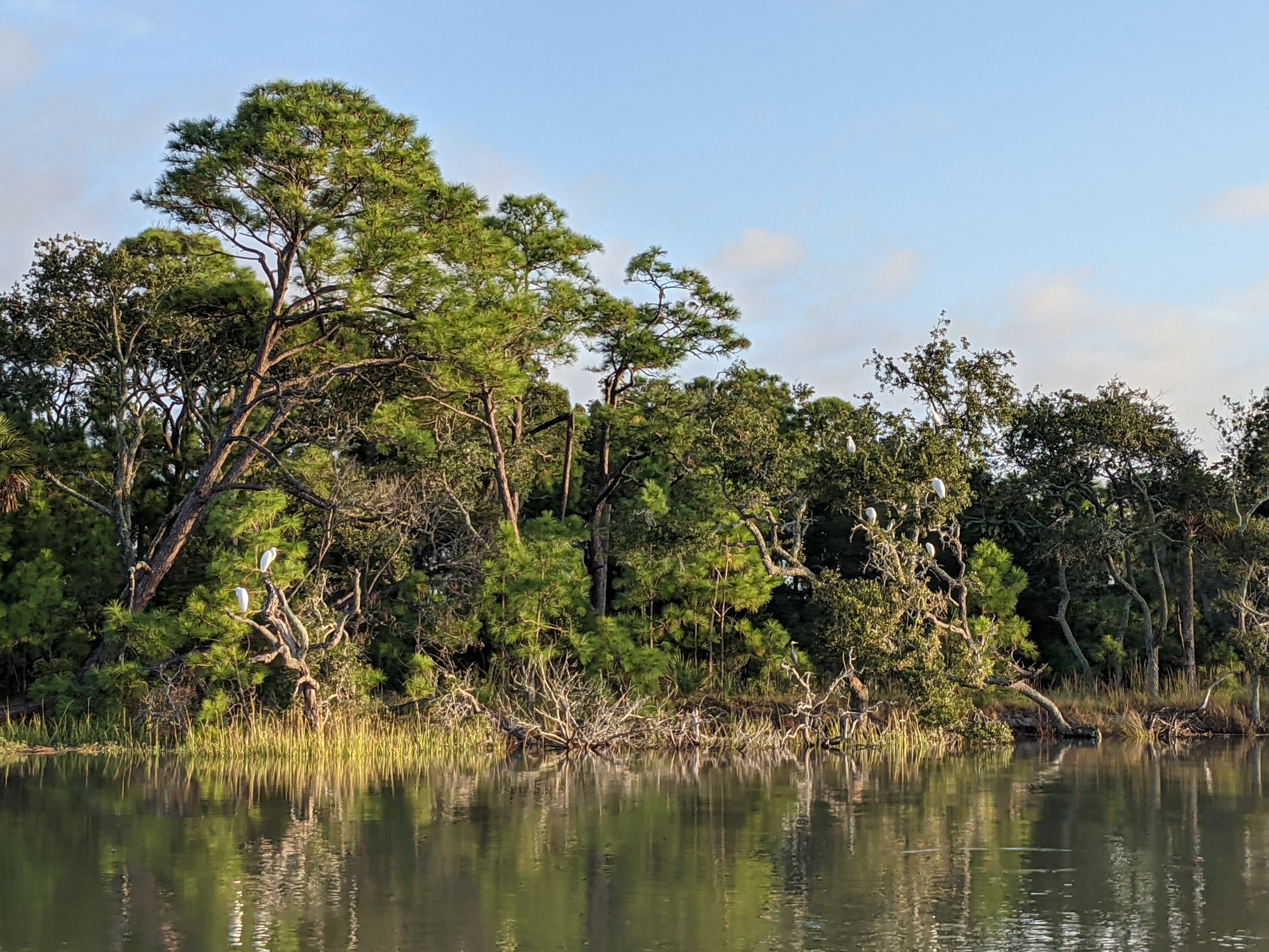 PXL 20201016 121258482