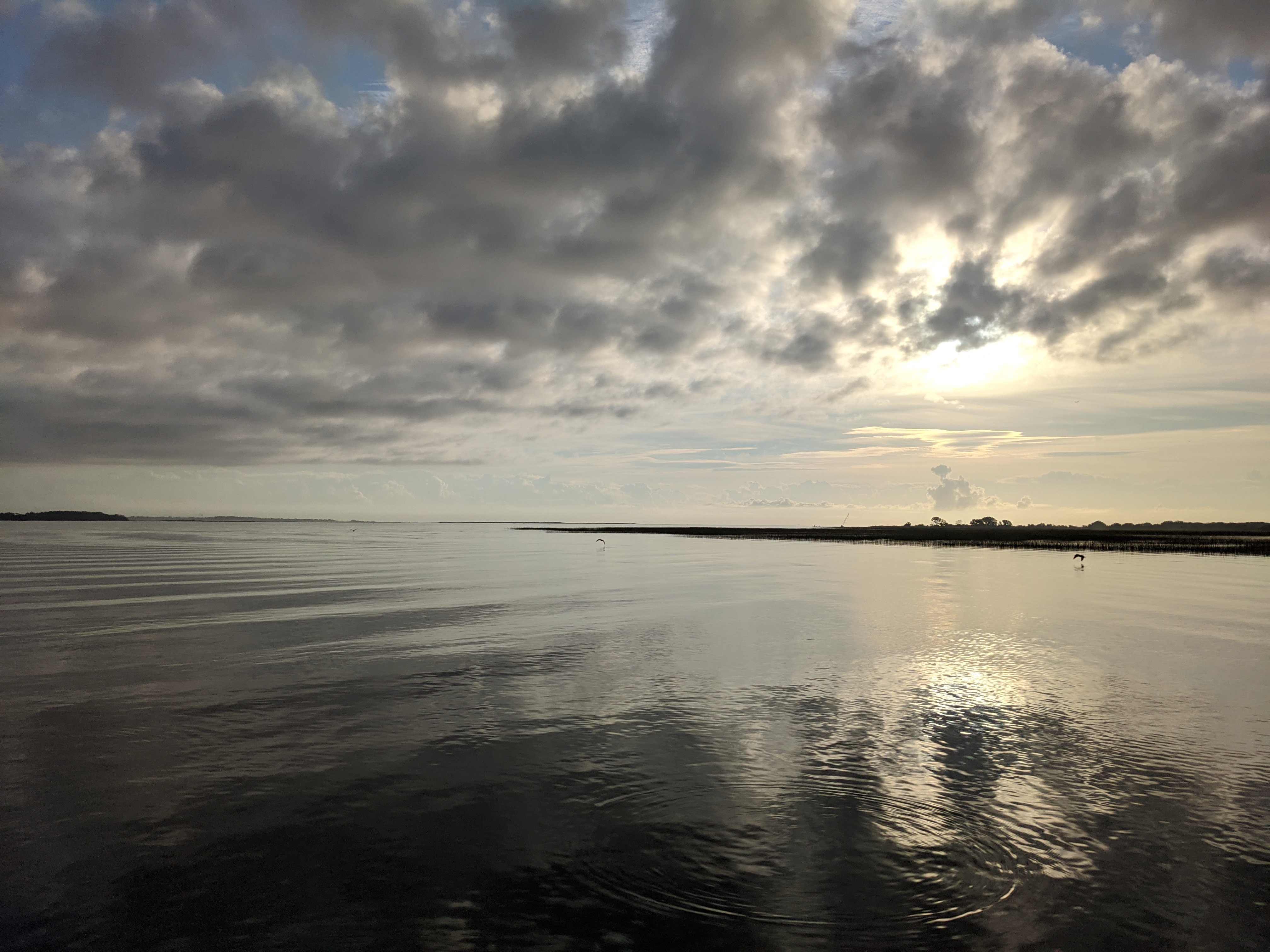 PXL 20201016 122128349