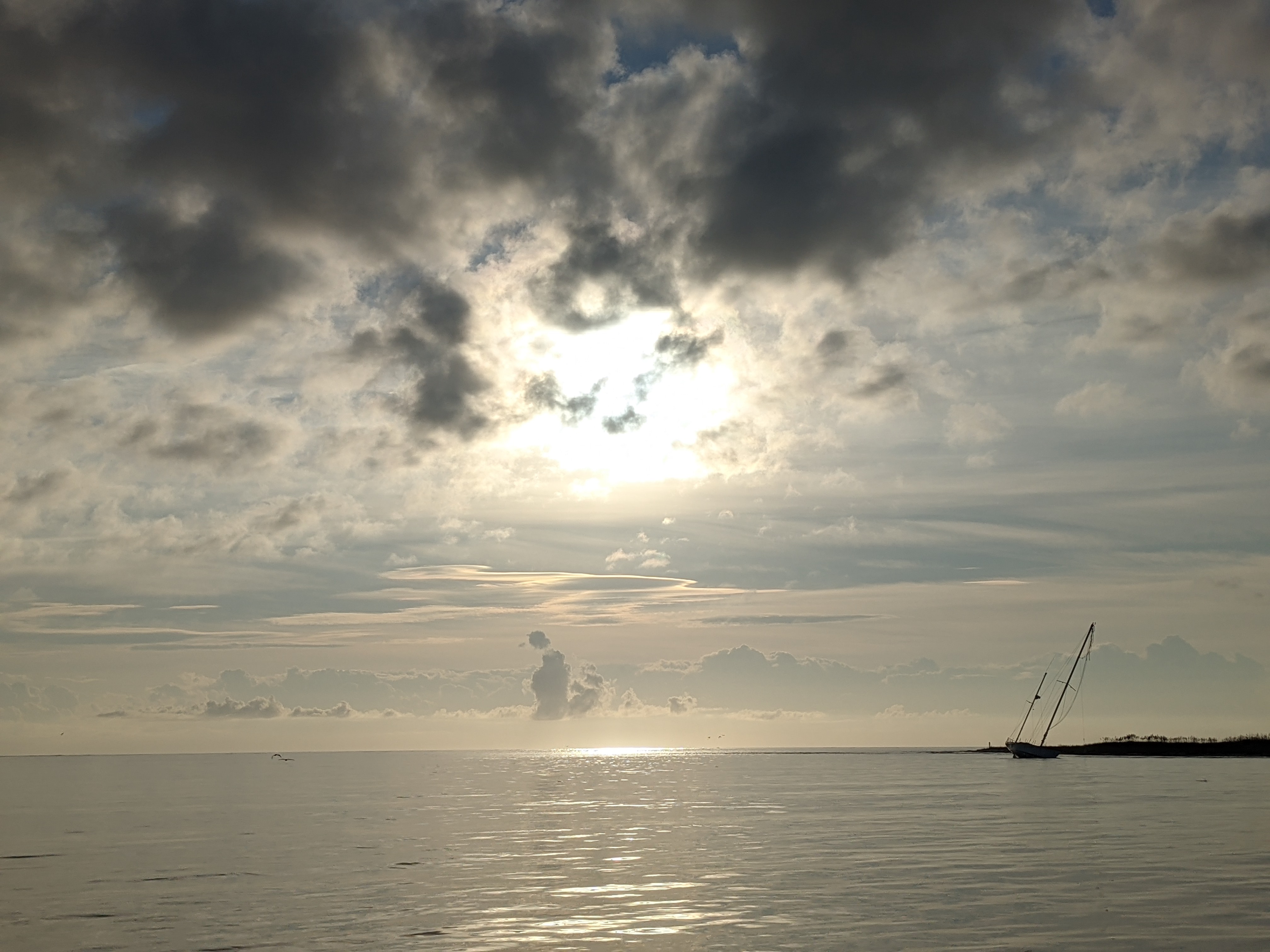 PXL 20201016 122323846