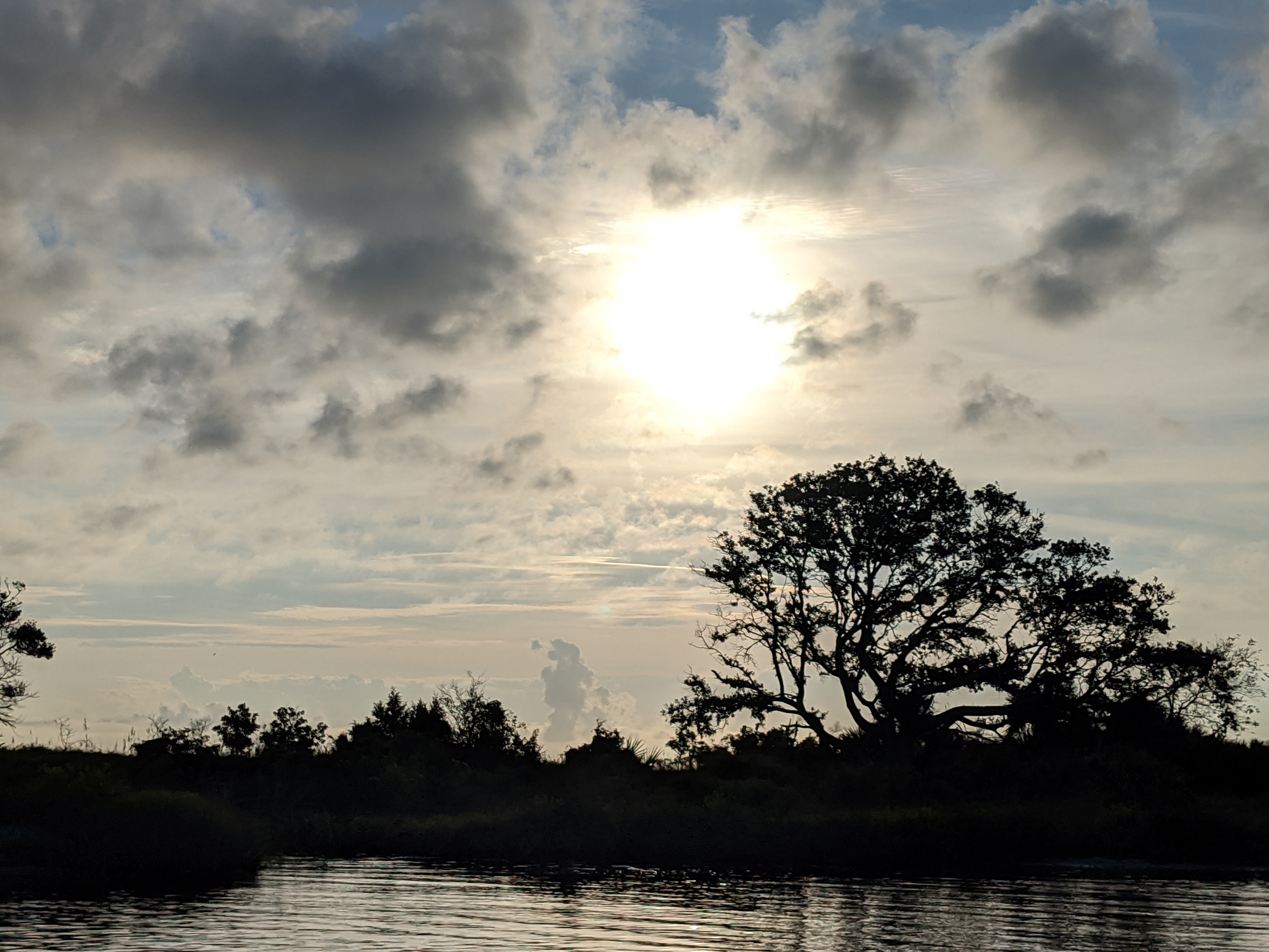 PXL 20201016 122509251