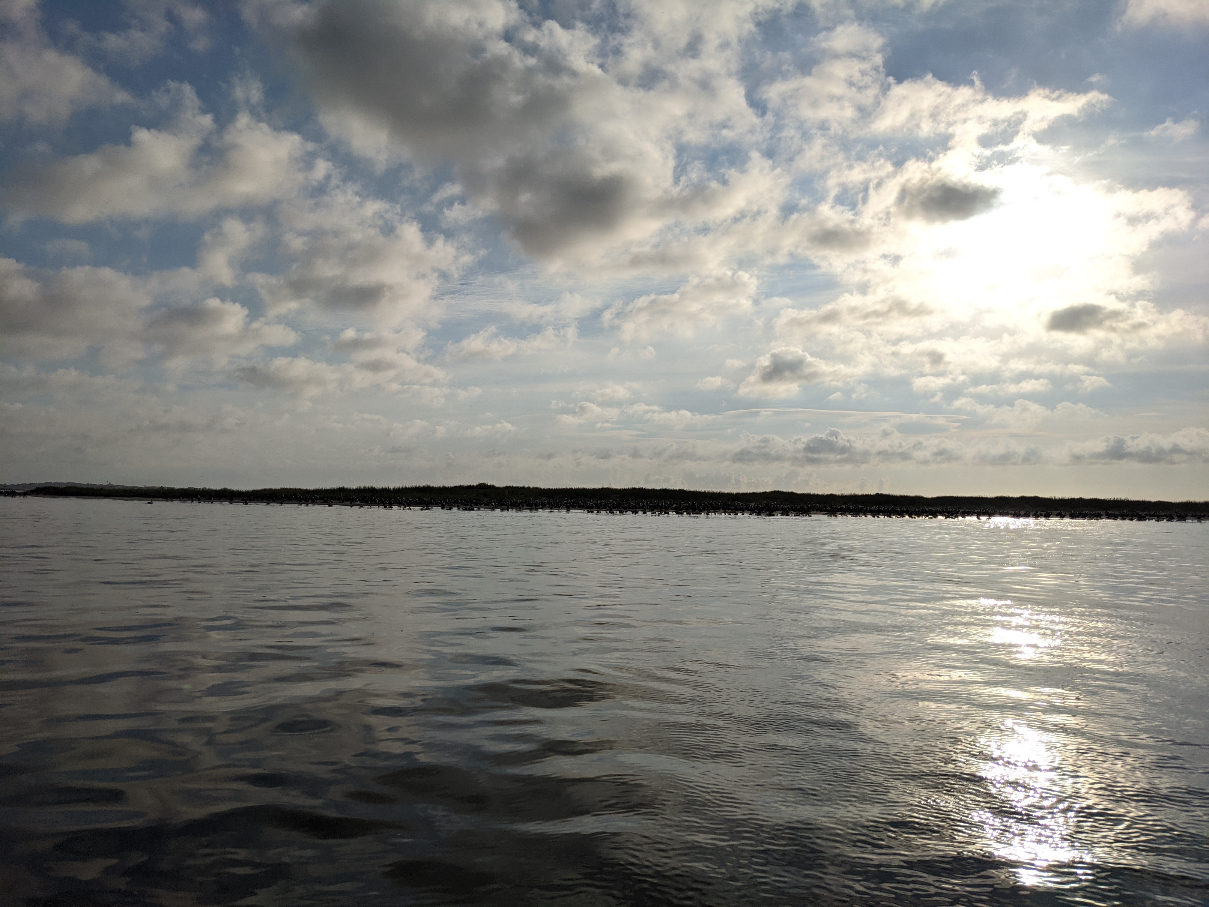 PXL 20201016 124434707.MP