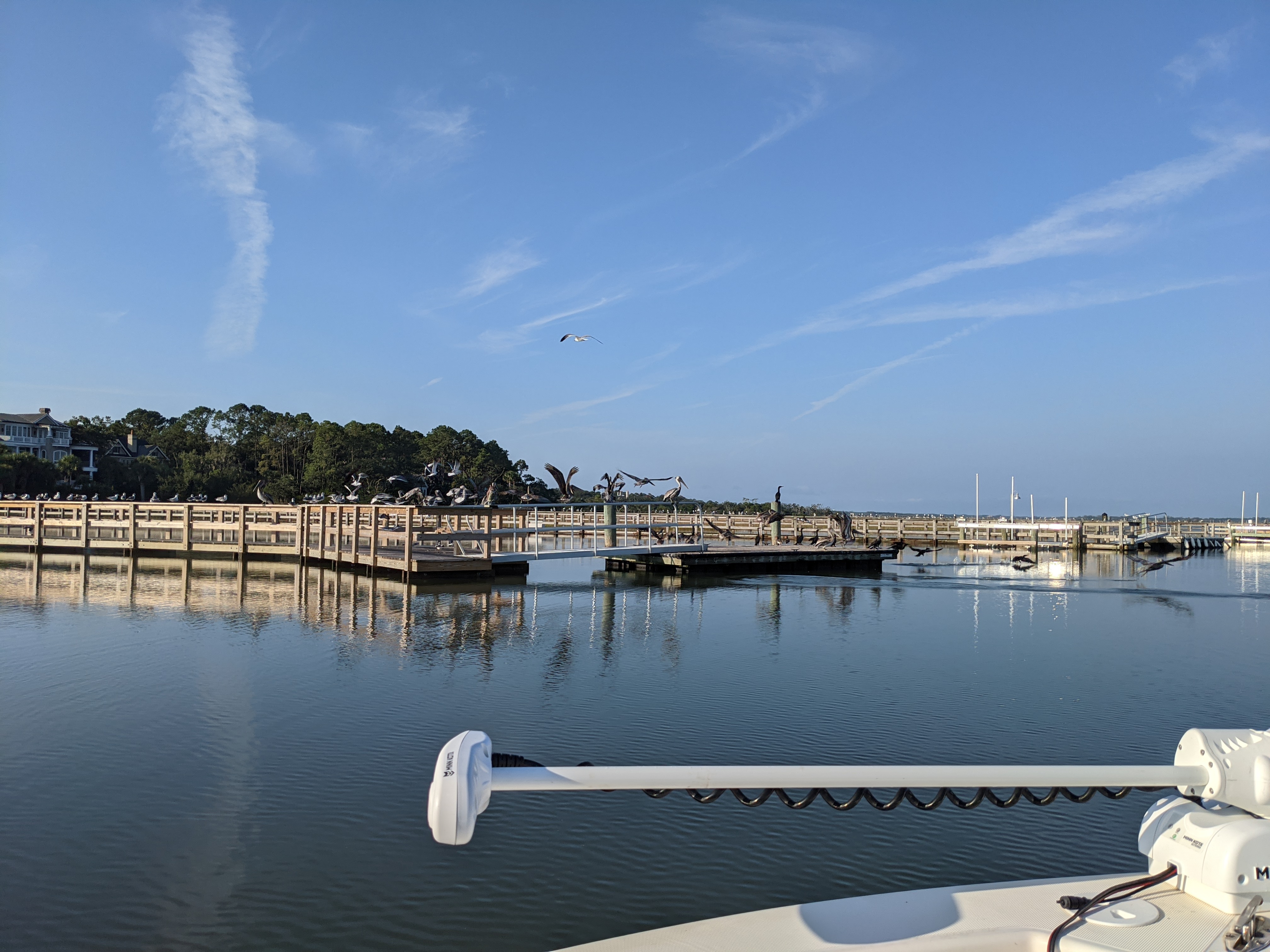 PXL 20201016 130626338