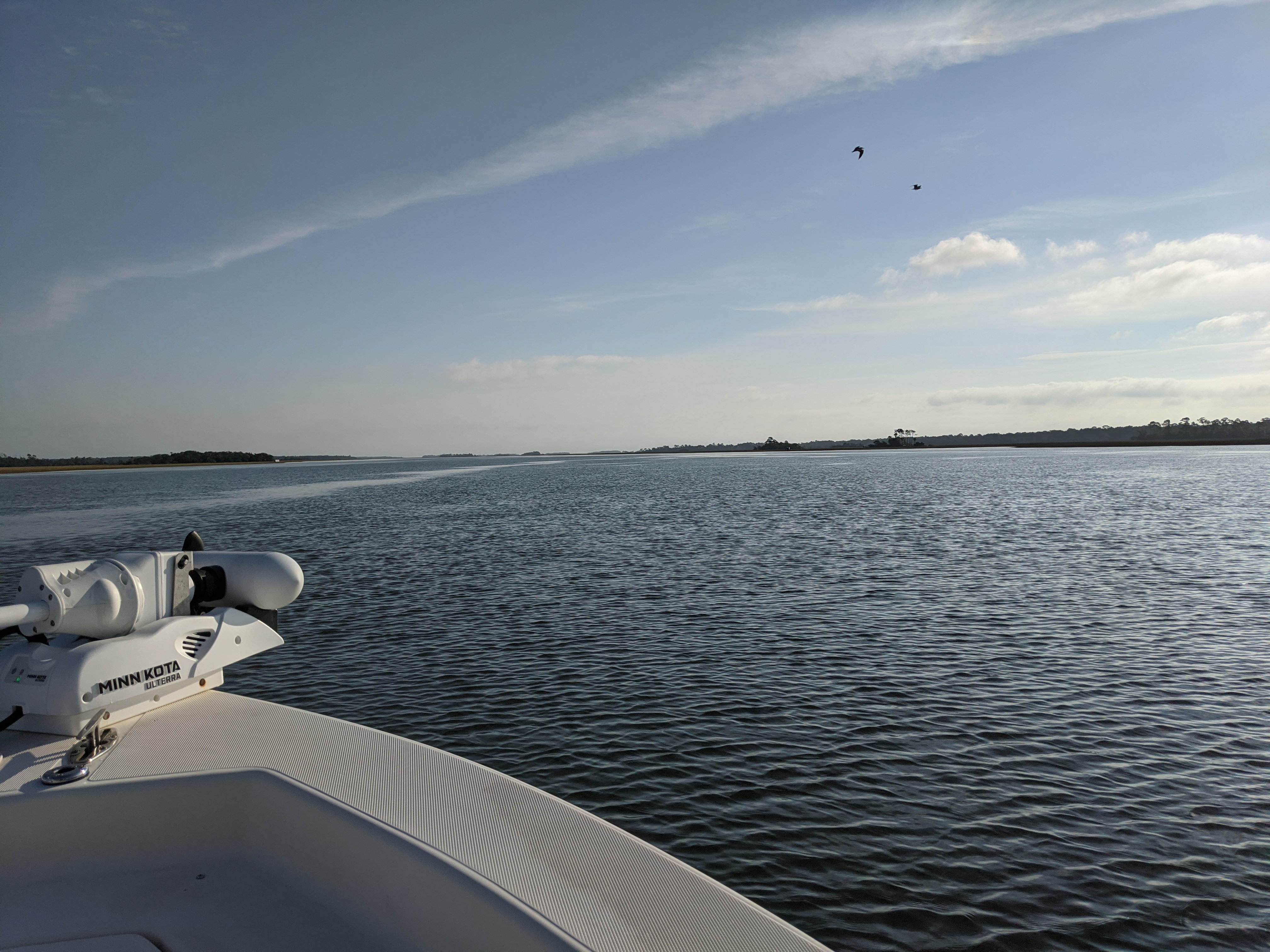 PXL 20201016 131125287