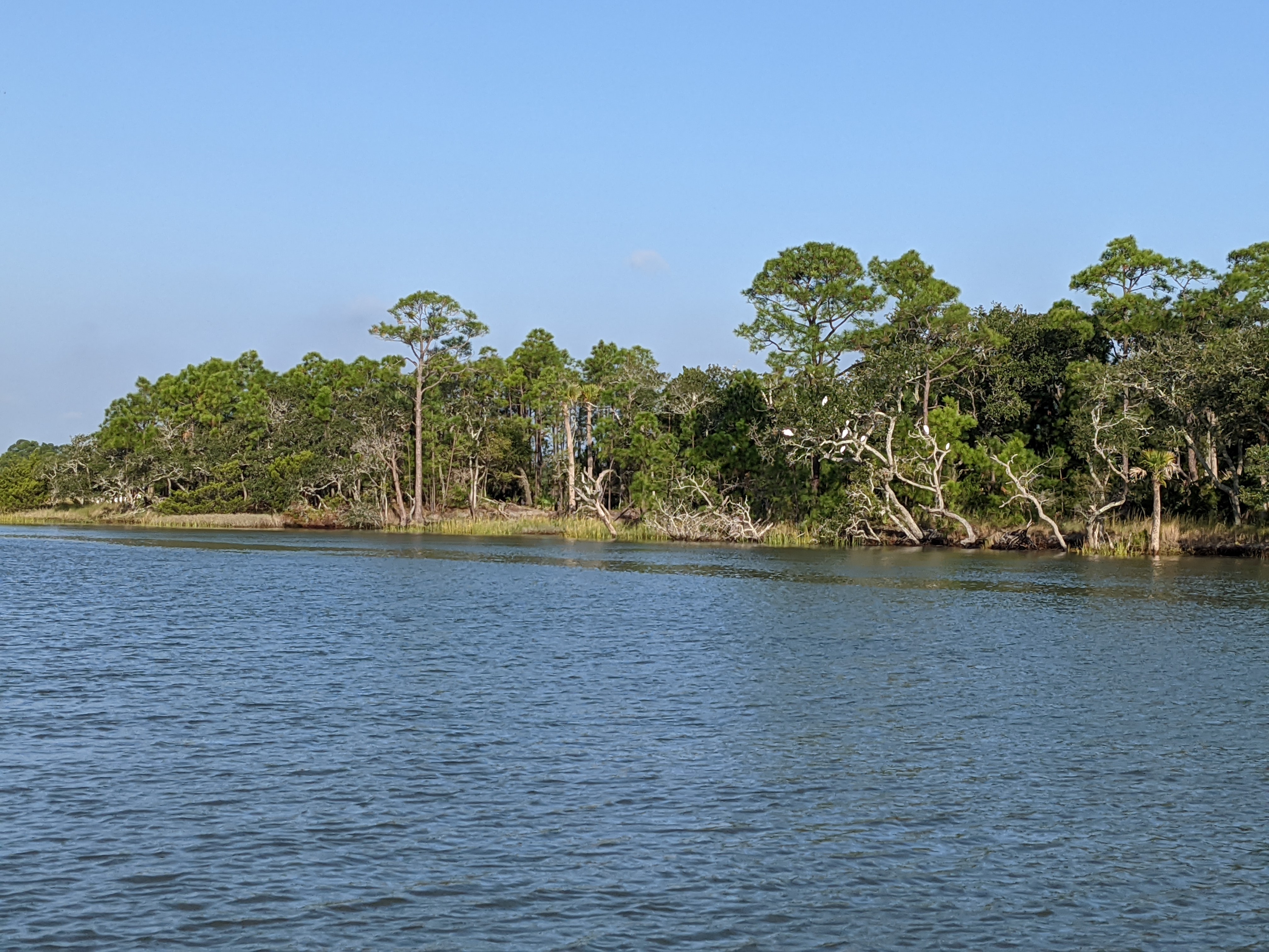 PXL 20201016 132116005