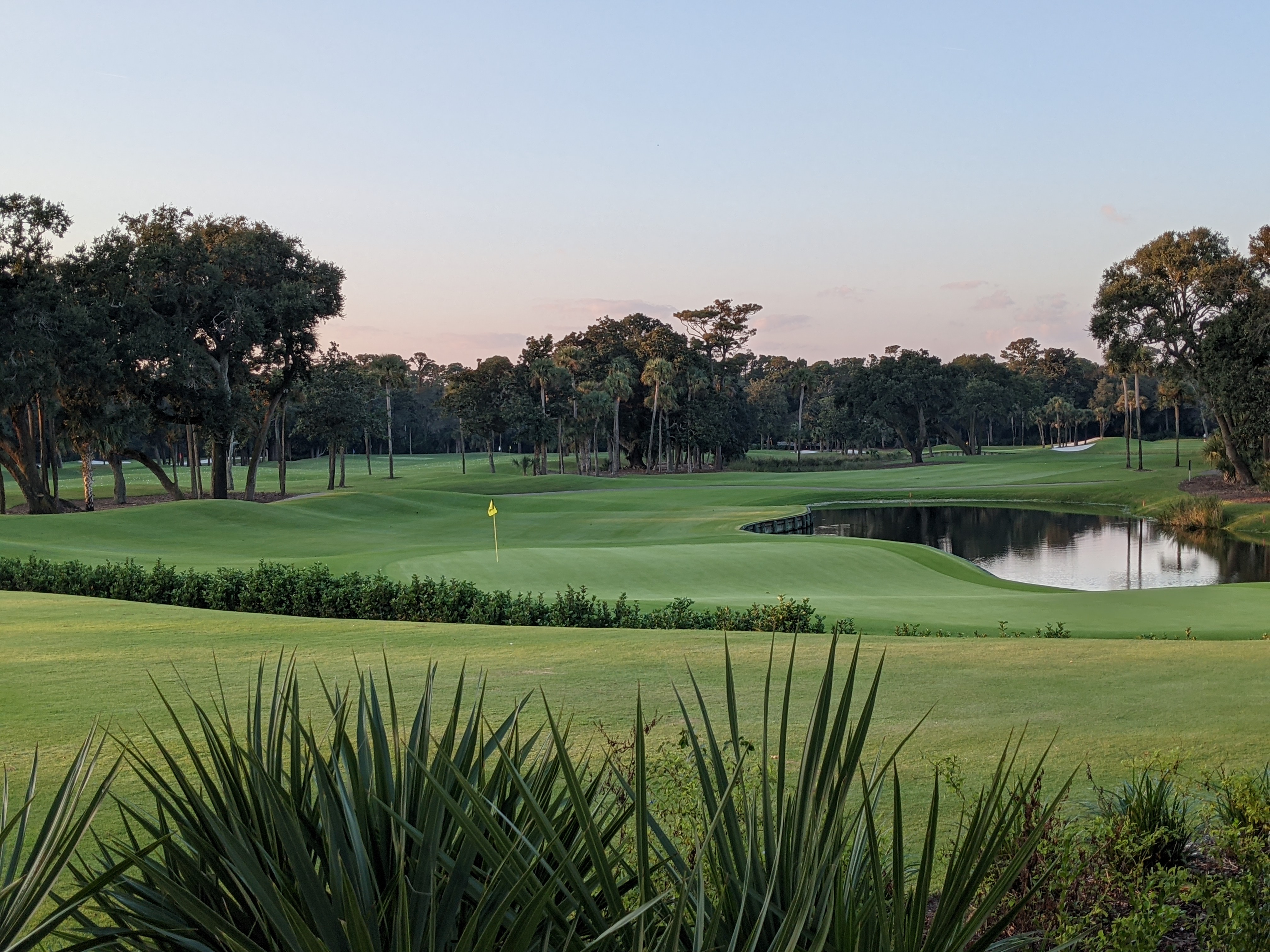 PXL 20201016 222232766