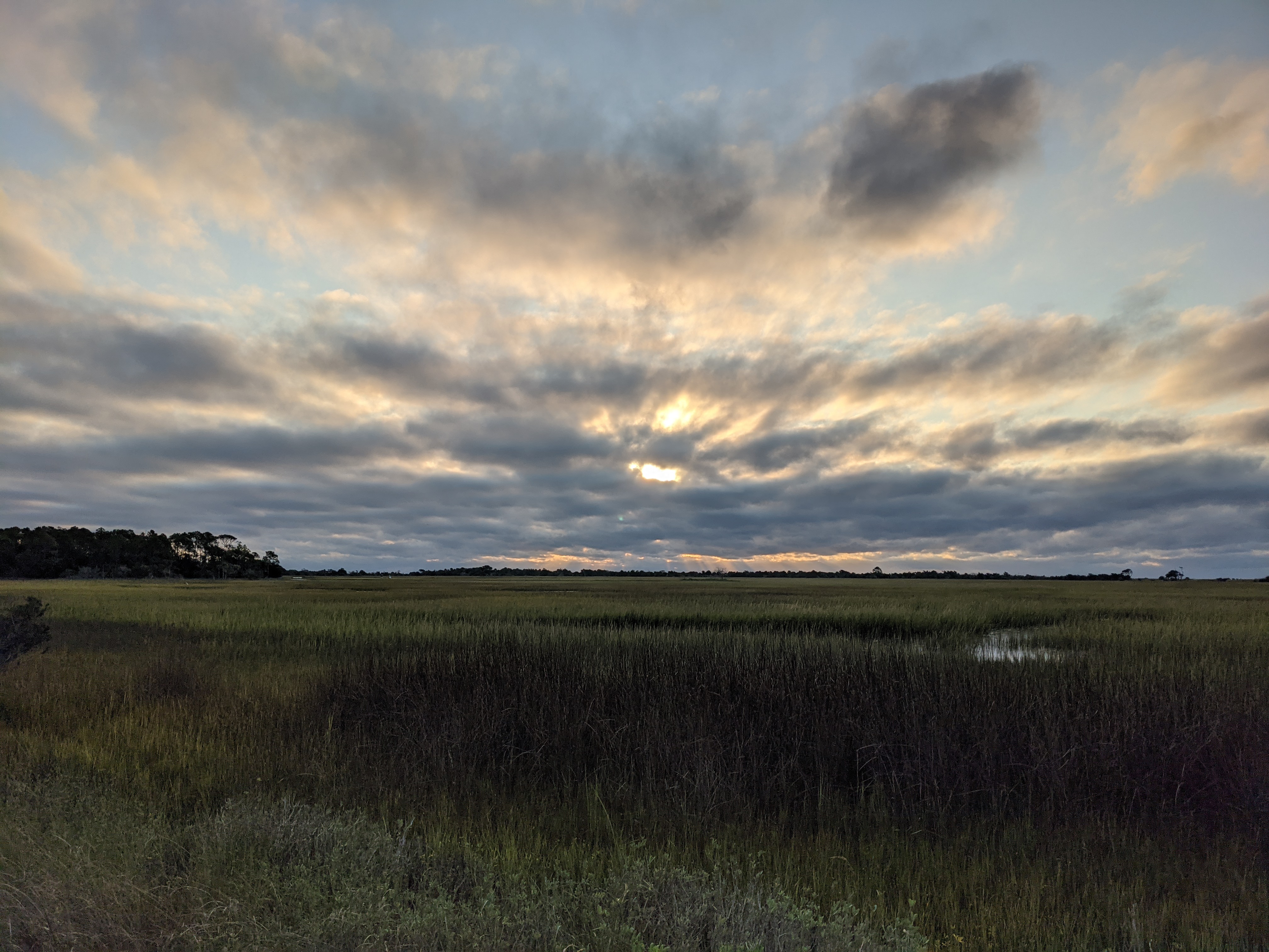 PXL 20201017 115723511