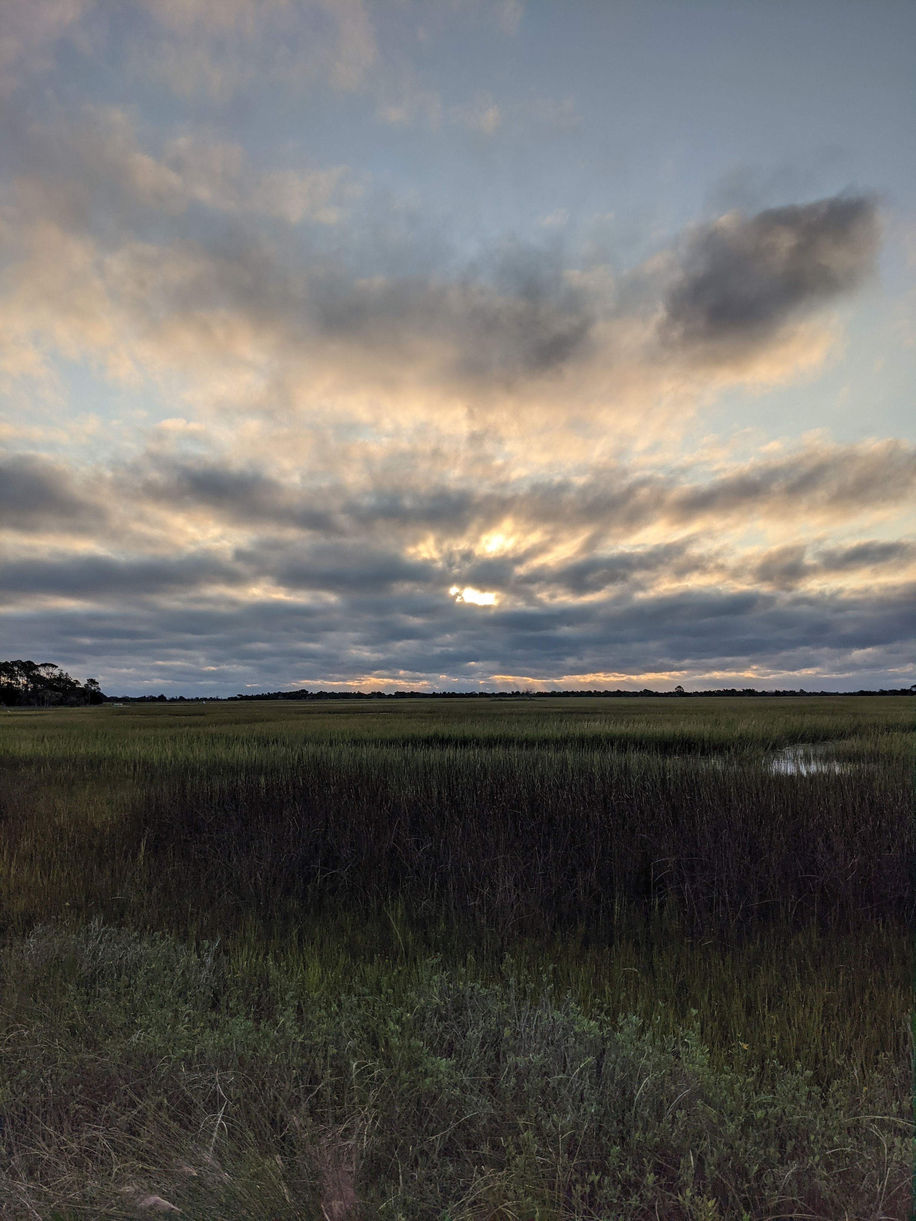 PXL 20201017 115729278