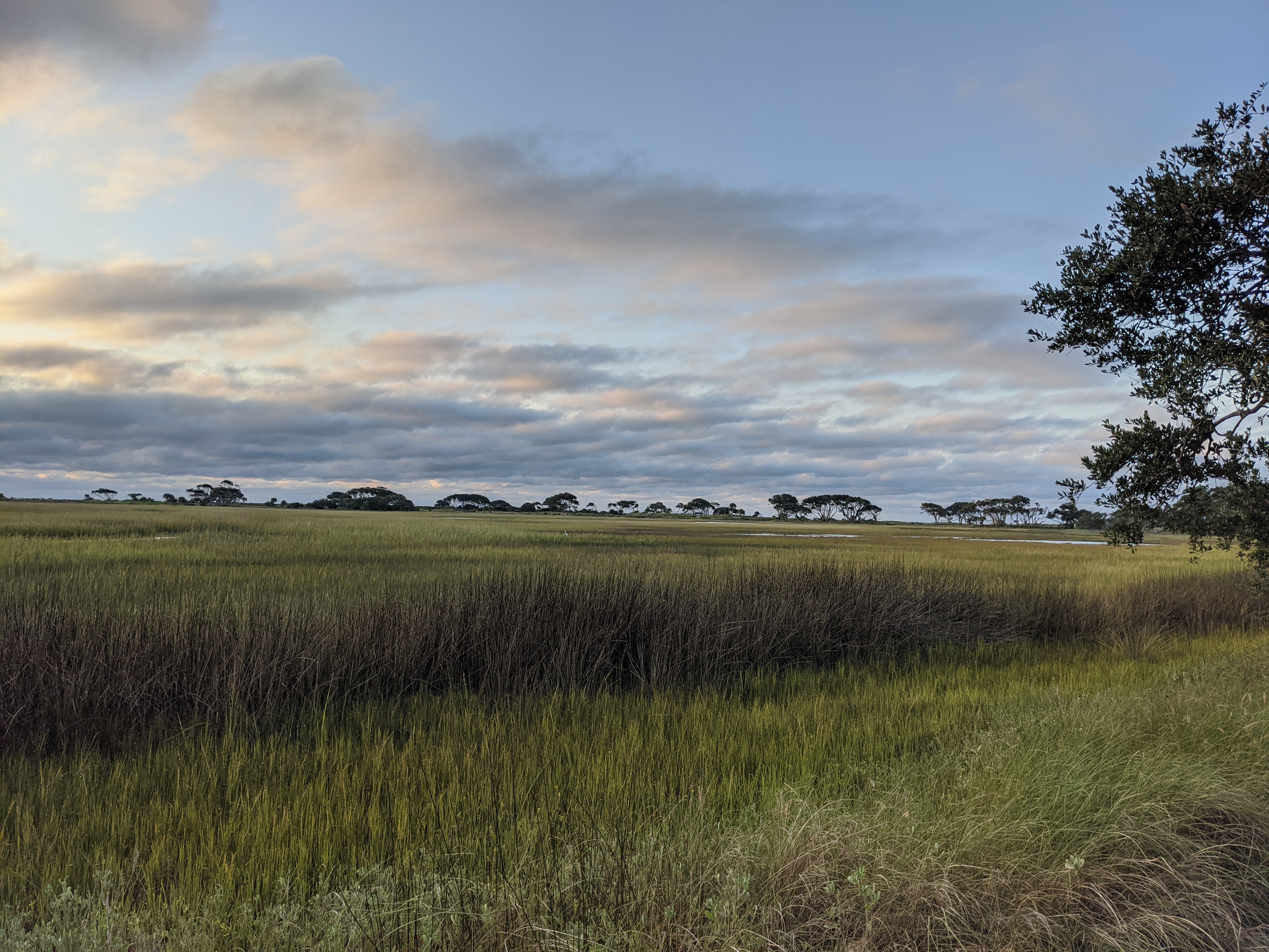 PXL 20201017 115808931