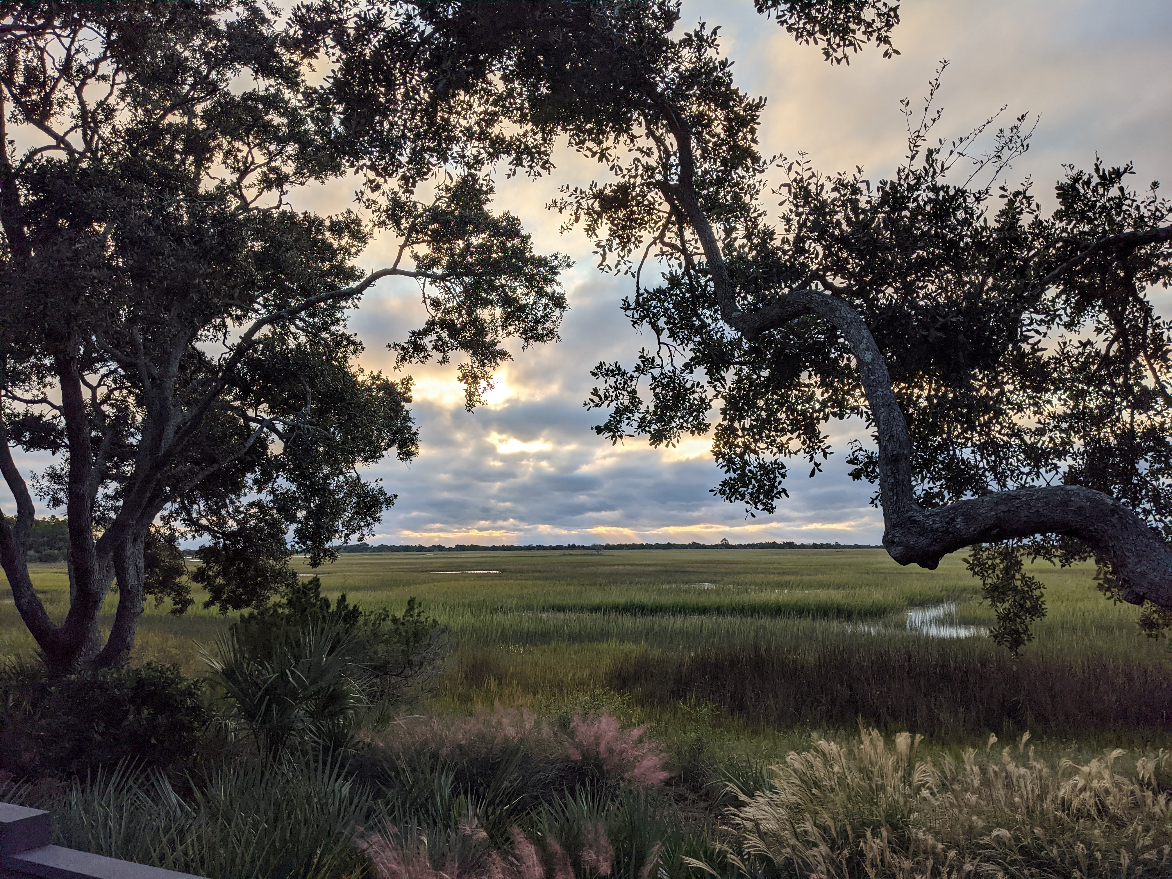 PXL 20201017 115908625