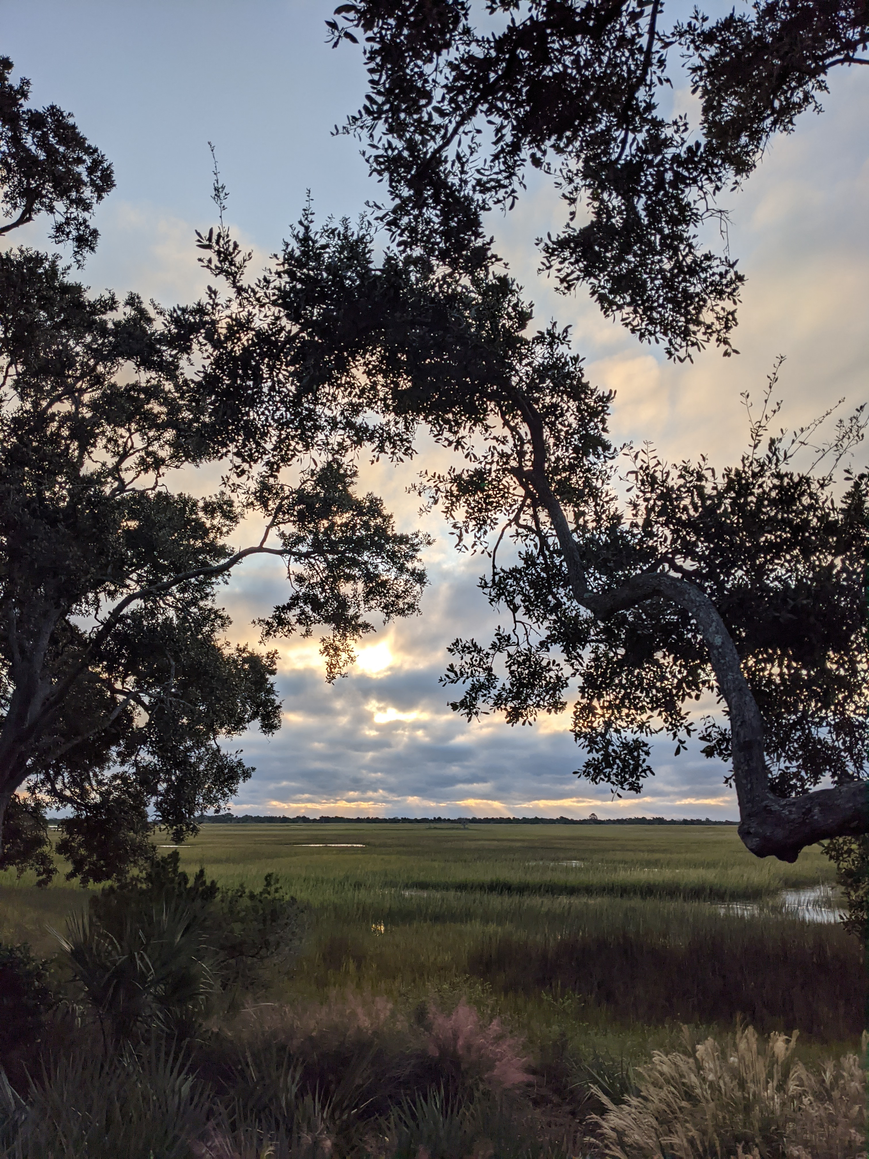 PXL 20201017 115915306