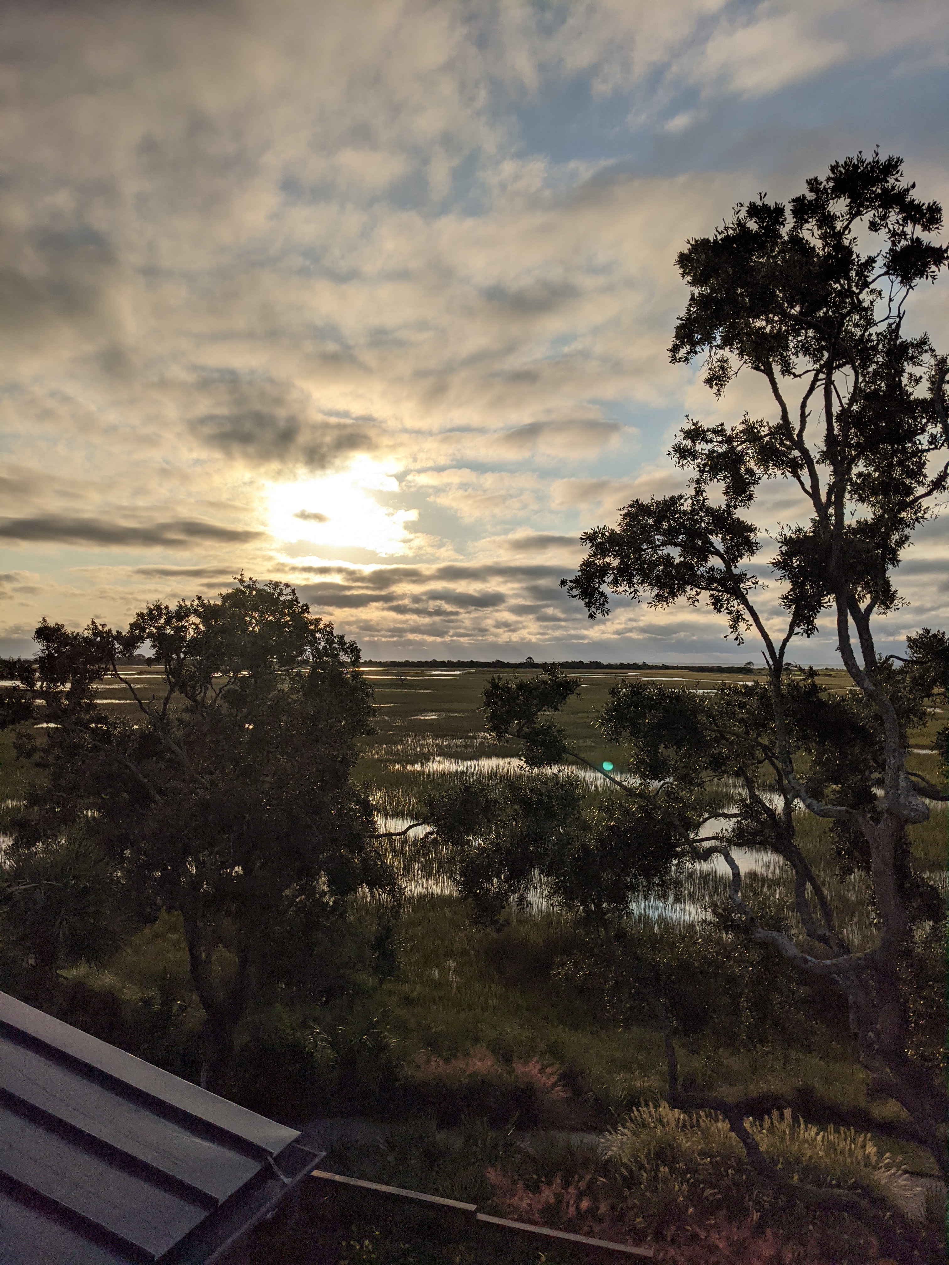 PXL 20201017 121050799