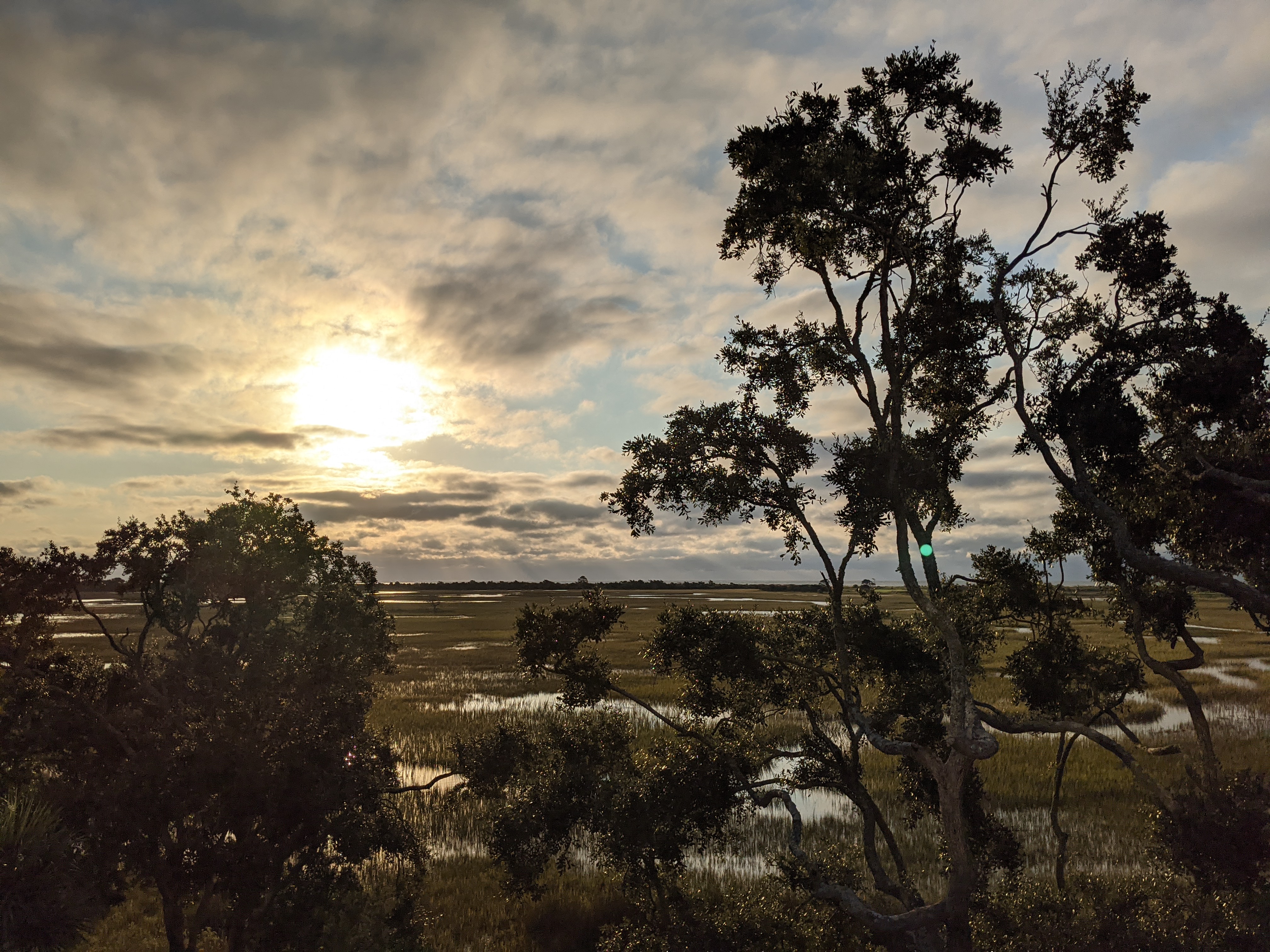 PXL 20201017 121138239