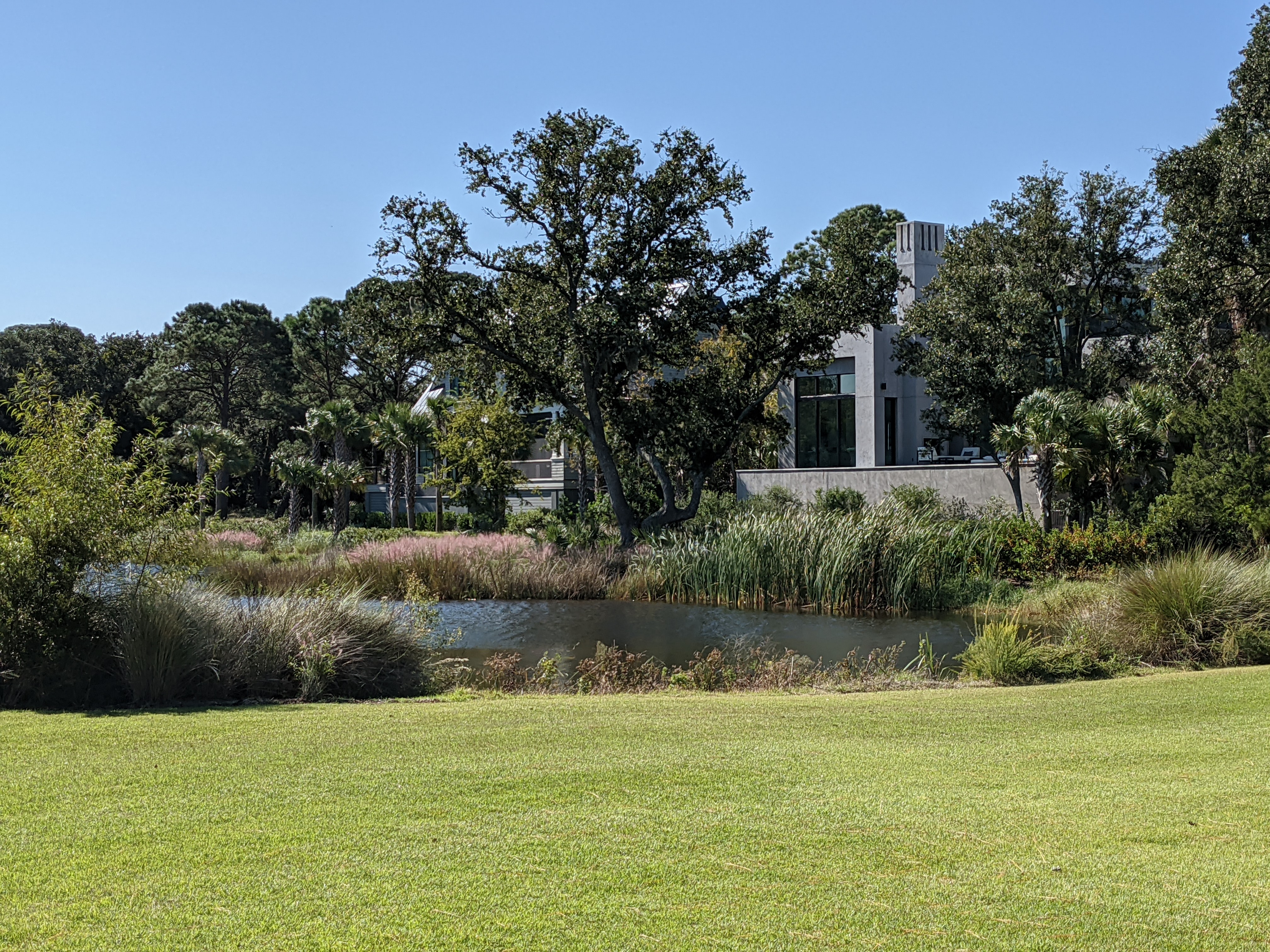 PXL 20201017 152900119