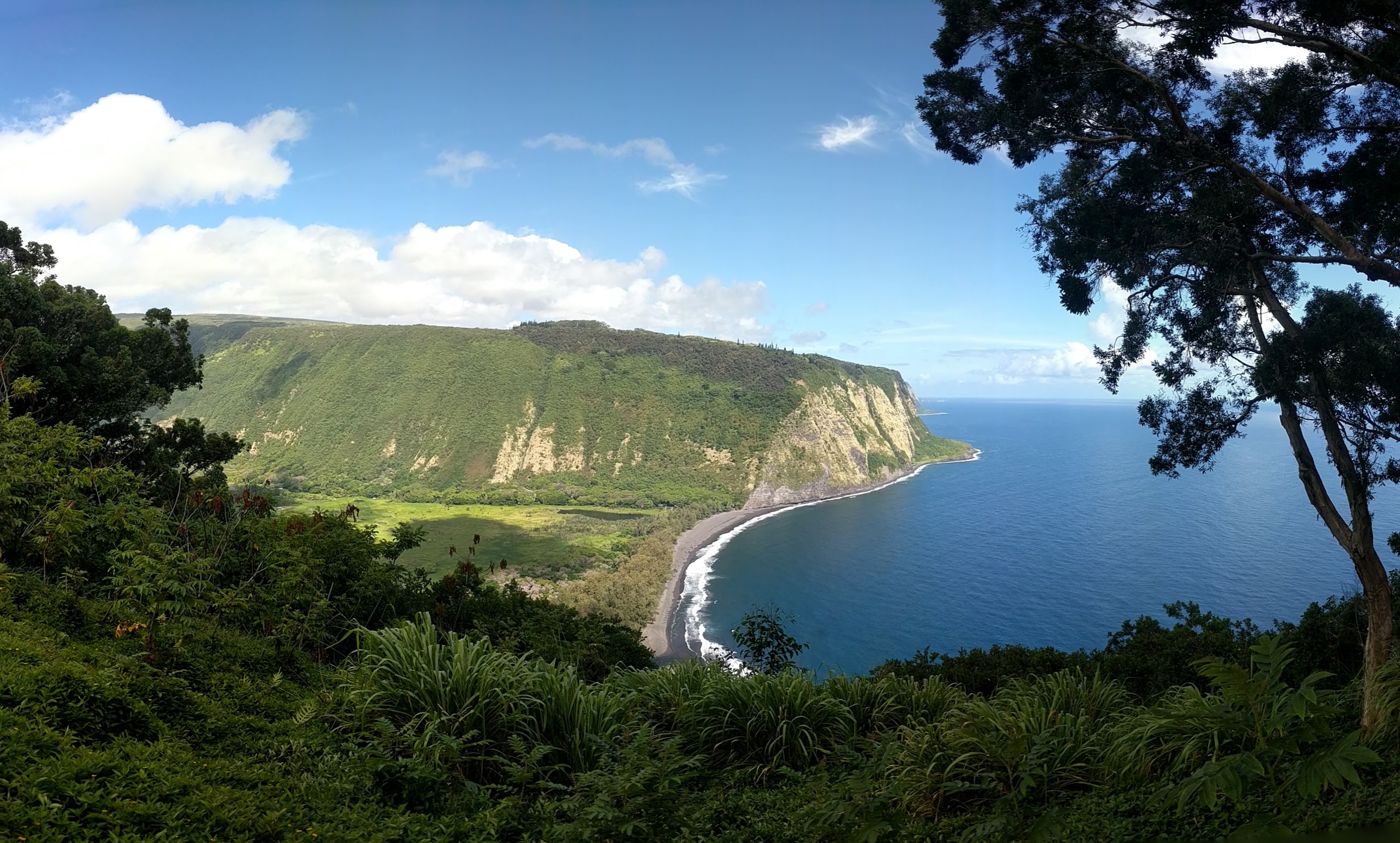 PANO 20190620 093717.vr