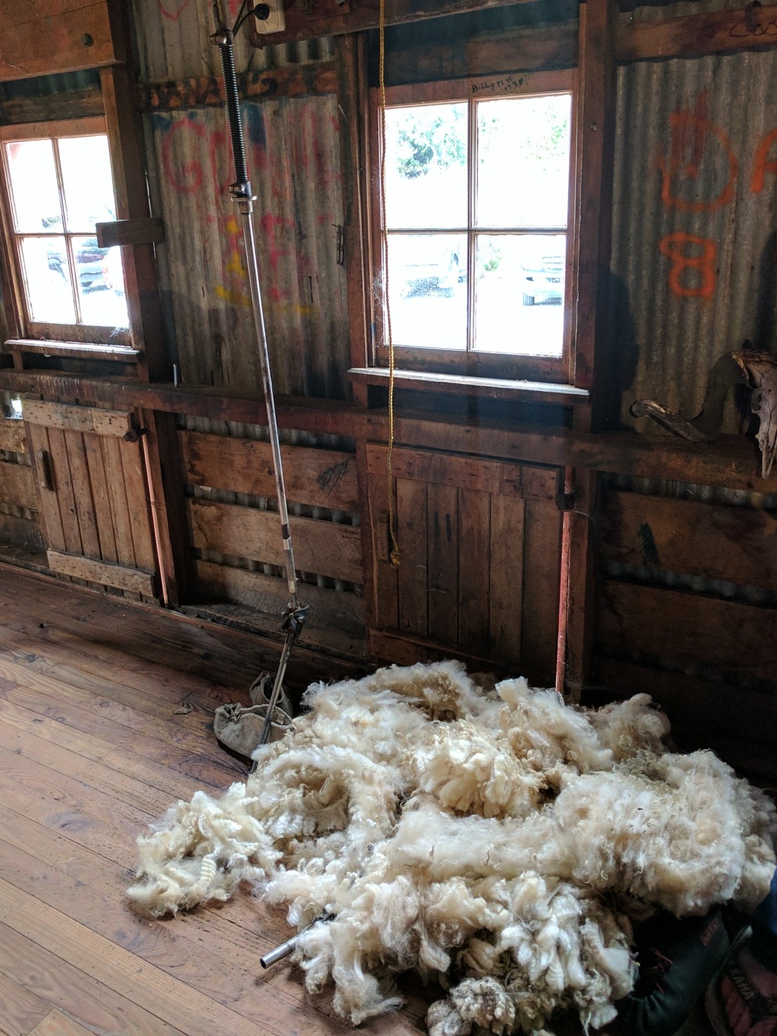 IMG 20170121 150028~2