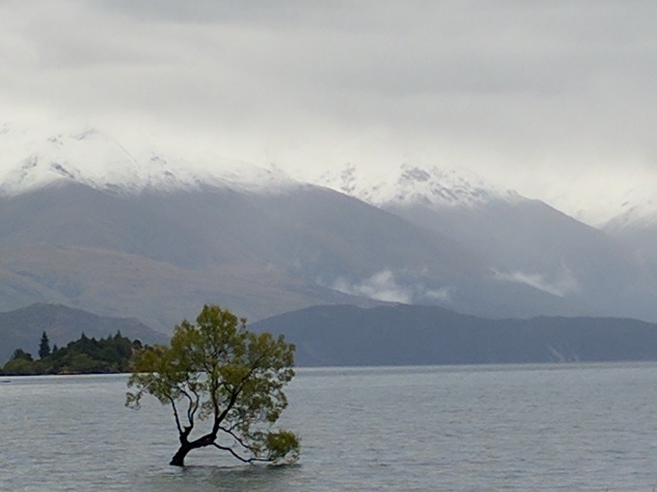 IMG 20170122 120746~2