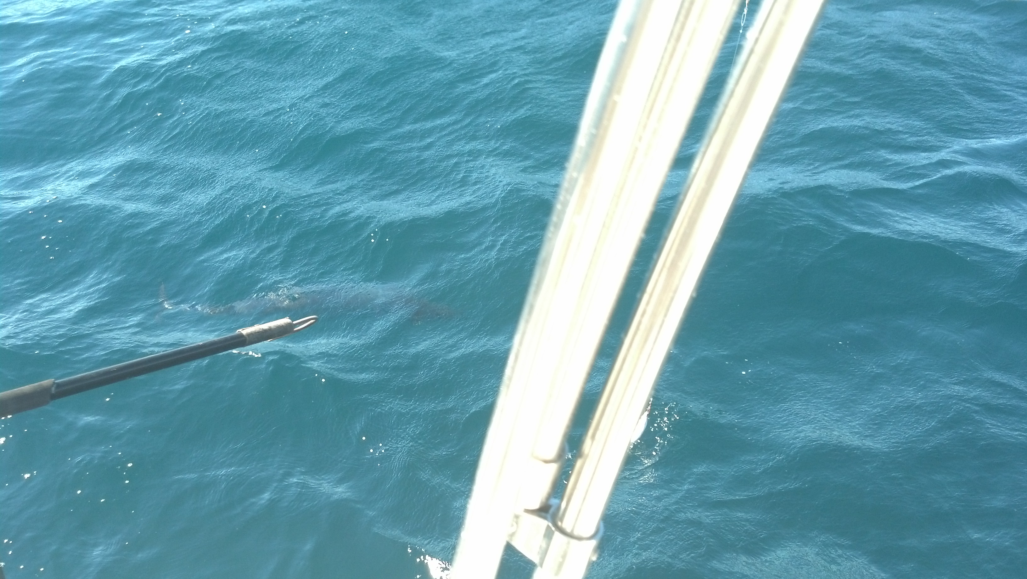 IMG 20140113 115858 184