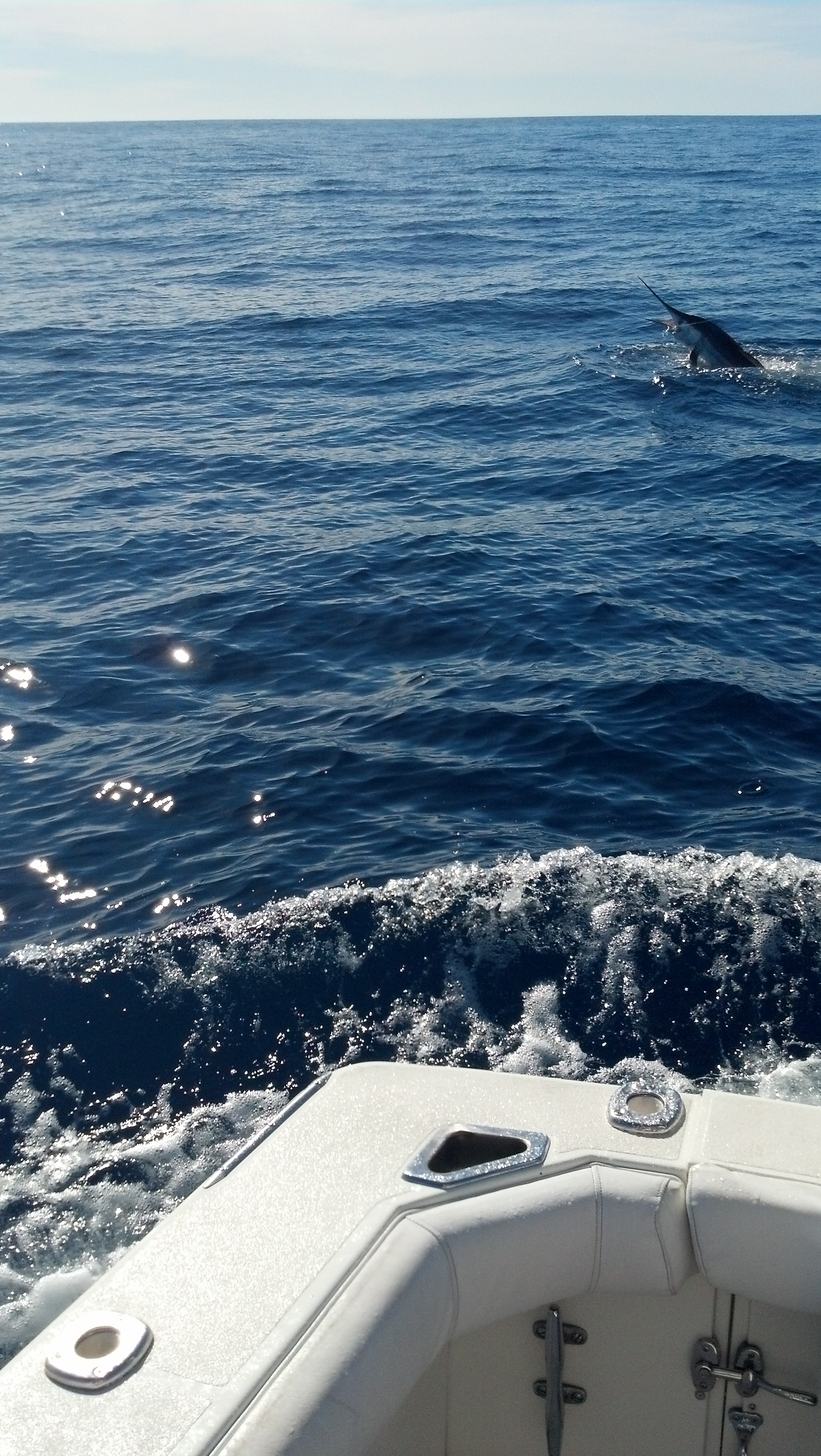 IMG 20140115 145236 129