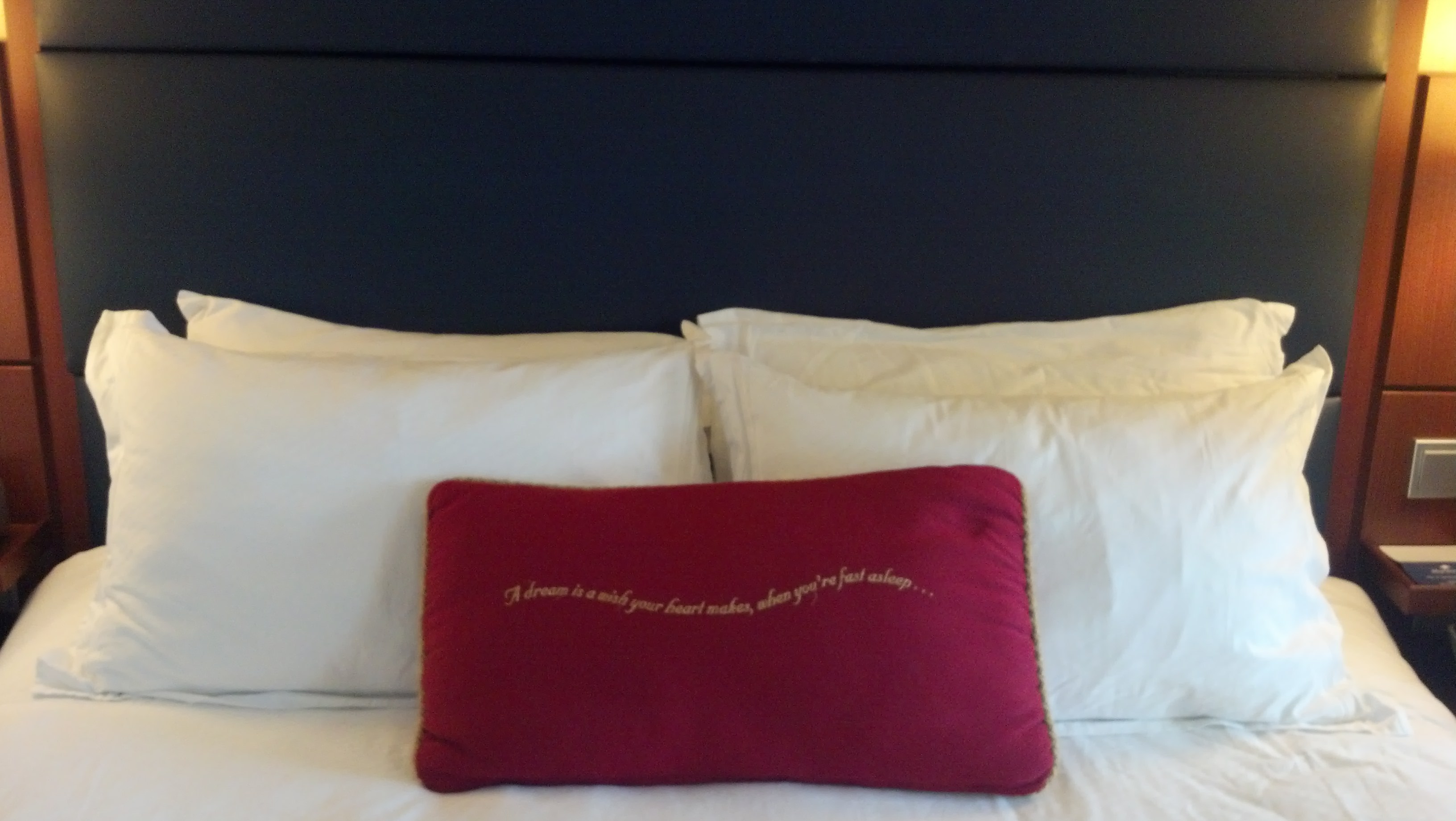 IMG 20130708 174403 010