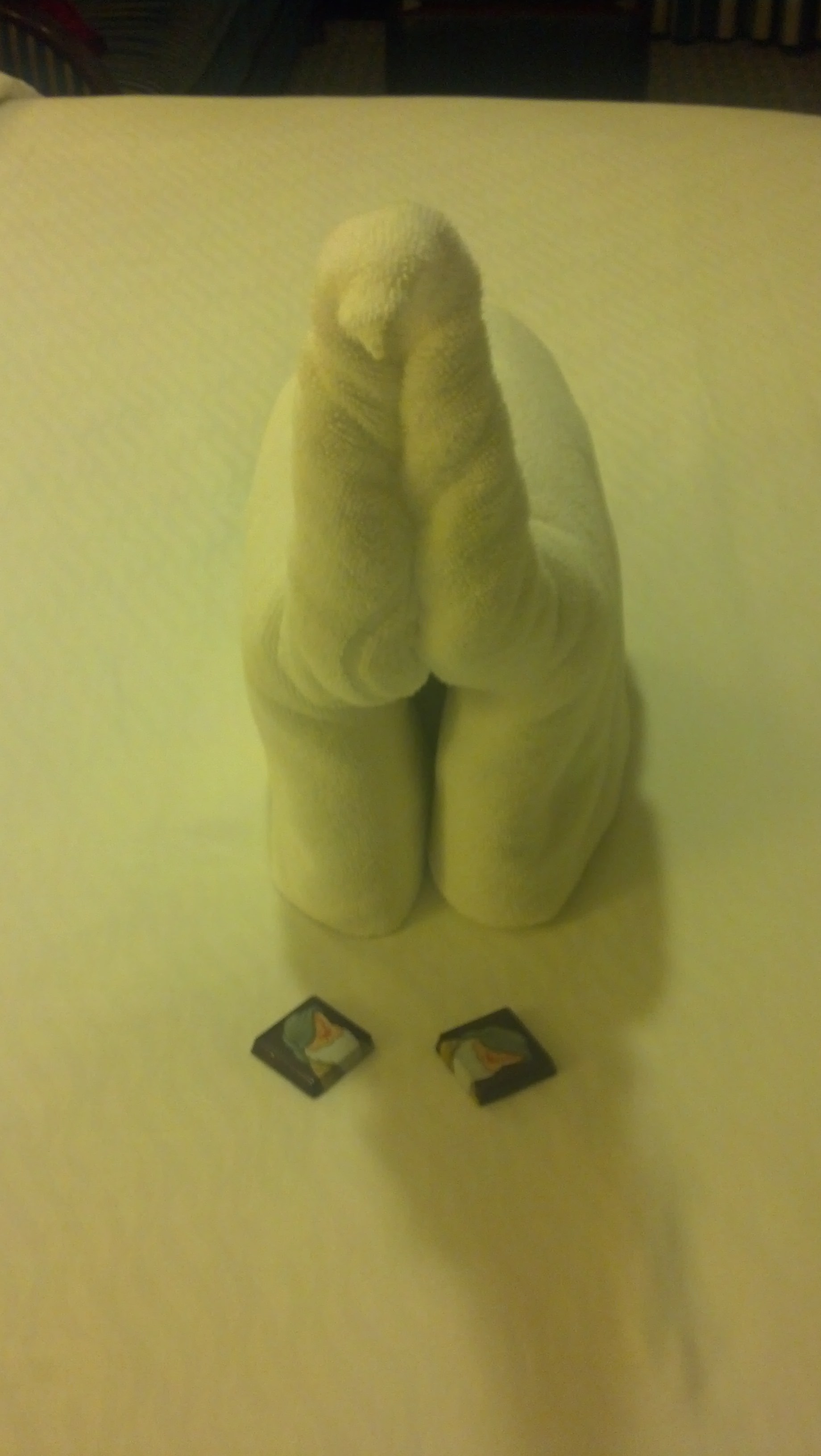 IMG 20130708 203656 056