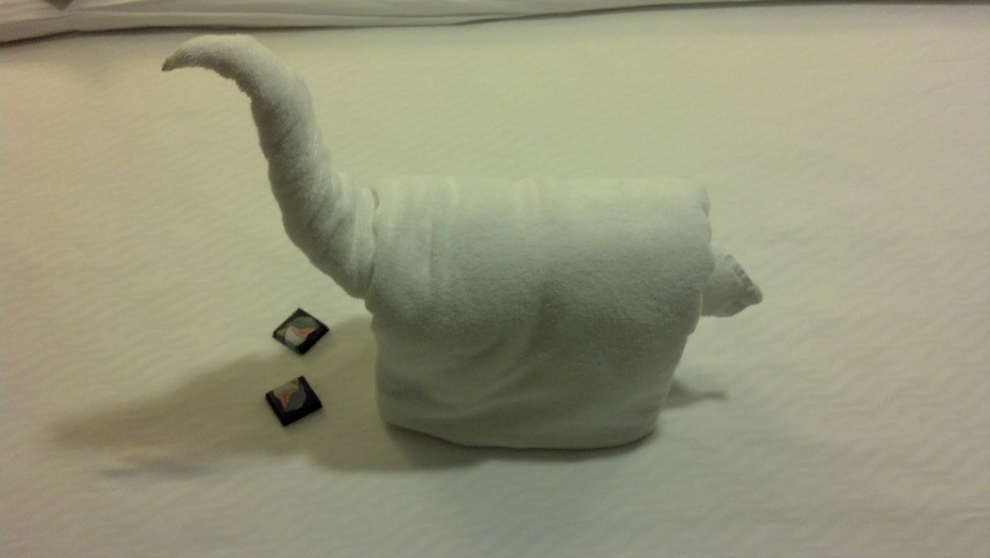 IMG 20130708 203716 107