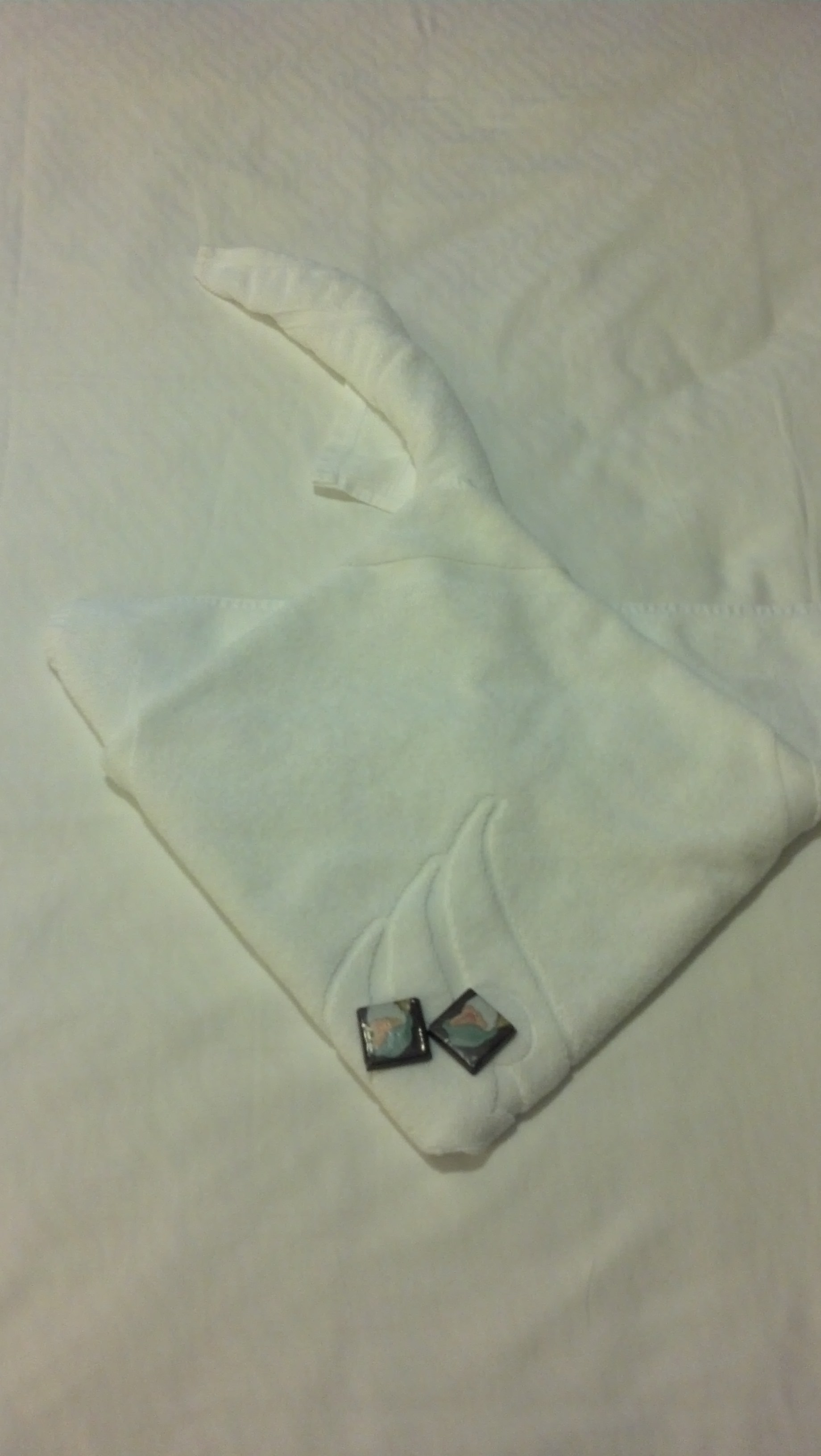 IMG 20130710 202103 480