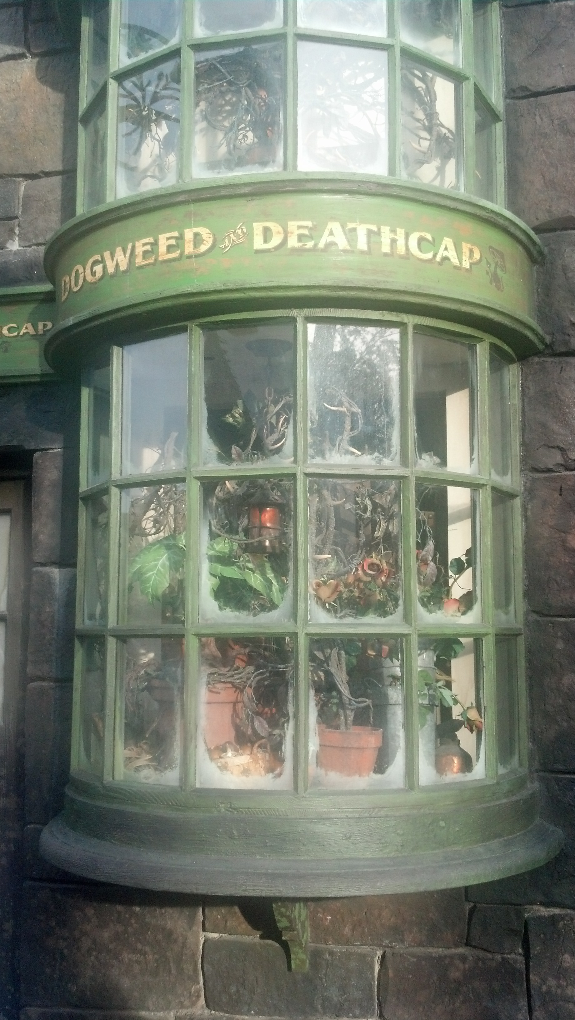 IMG 20130713 191548 515