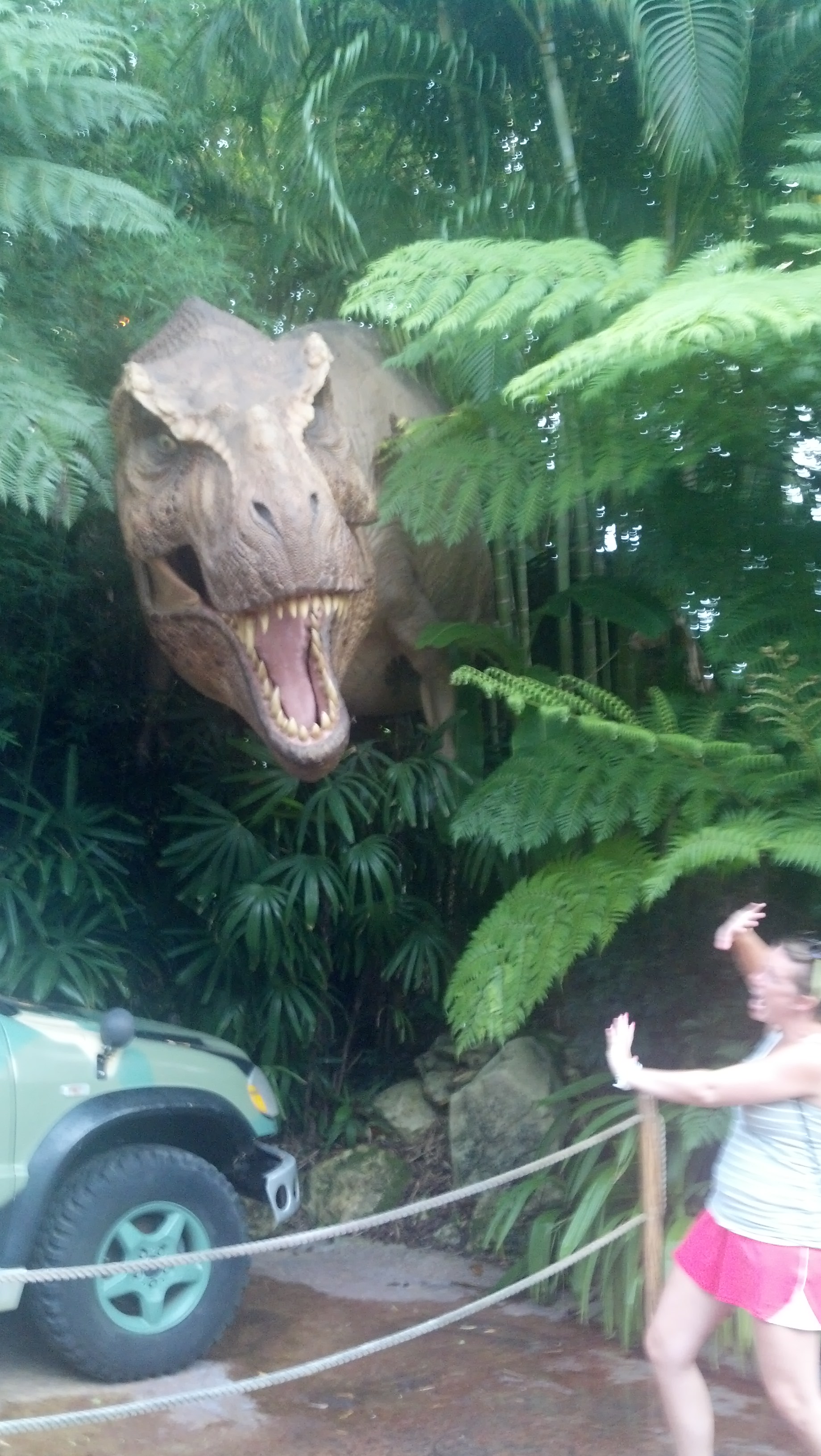 IMG 20130713 193335 202