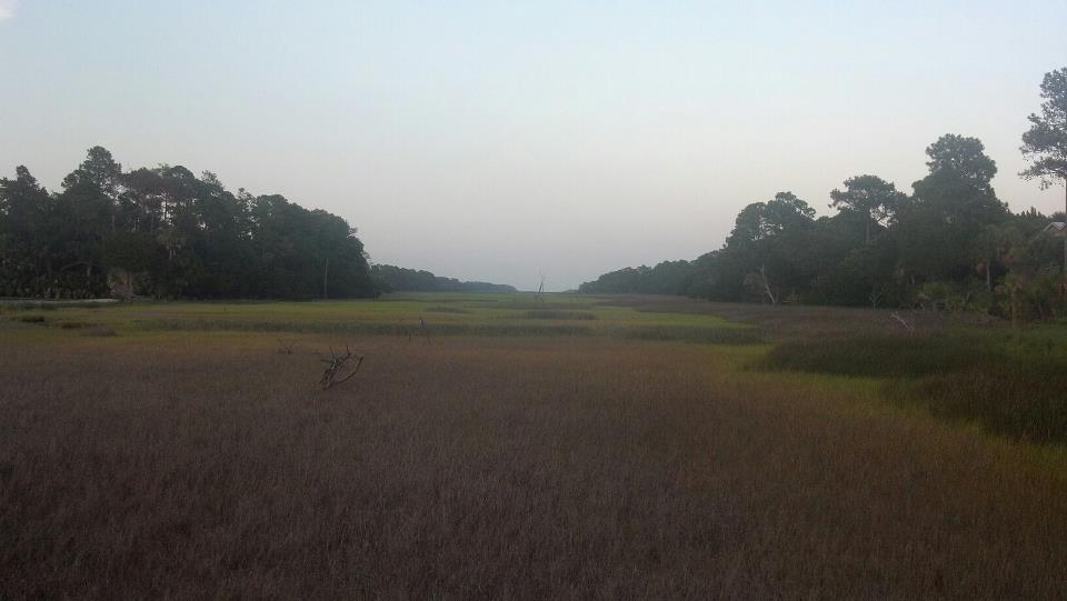 217867 10151098626526847 766573722 n