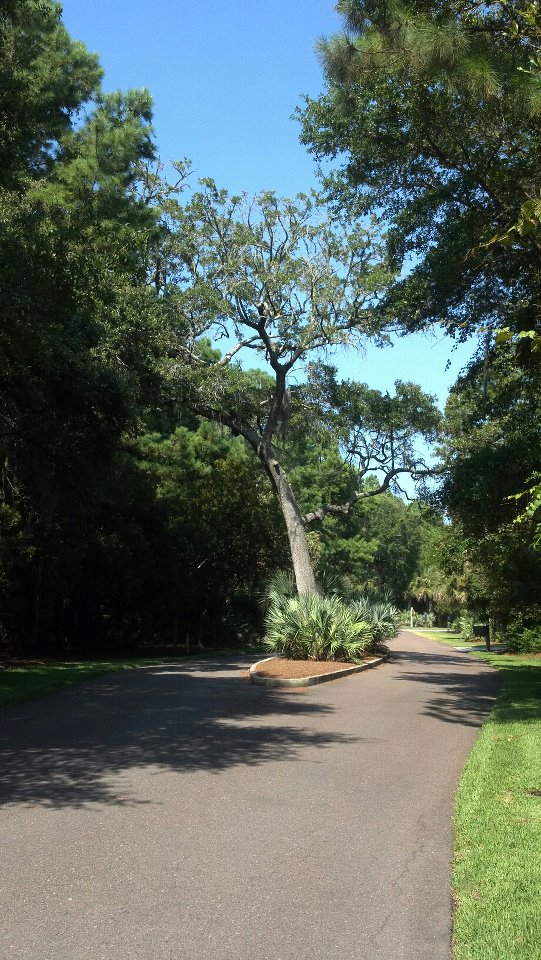 283745 10151100512746847 346288994 n