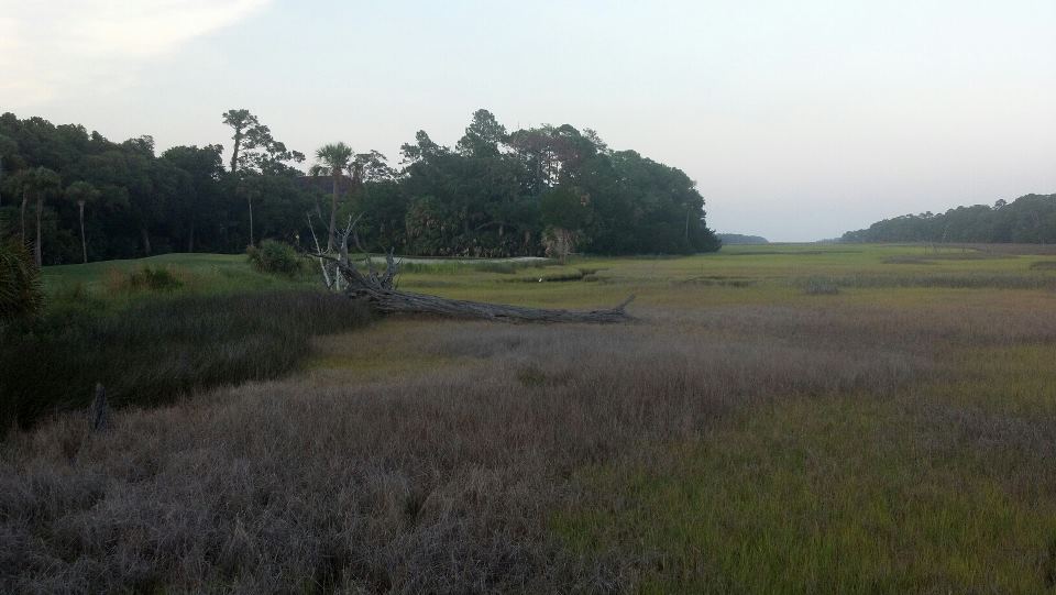 549710 10151098627266847 1143929576 n