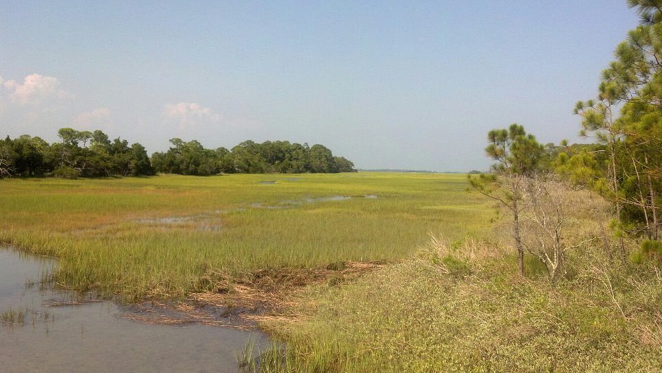 564069 10151100521516847 2035777442 n