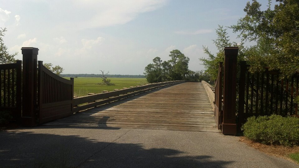 564726 10151100514081847 1690798565 n